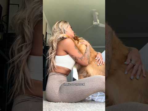 coming home to my golden retriever🥵 goldenretreiver dog ind… サムネイル