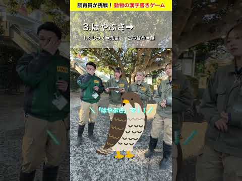 チームとり🦆が挑戦！鳥の漢字書き取りチャレンジ！ サムネイル
