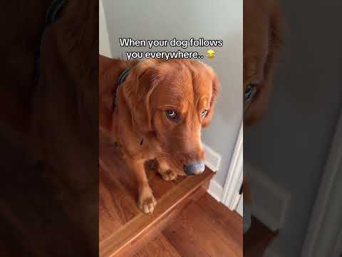 Everything is a group project.. 😂 サムネイル