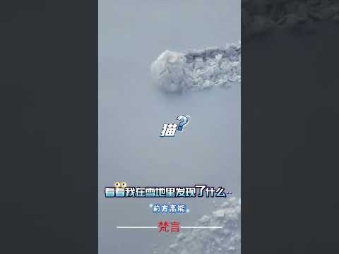 看看我在雪地裡發現了什麼 意外 有趣 萬萬沒想到 搞笑 amazing funny laugh shorts サムネイル