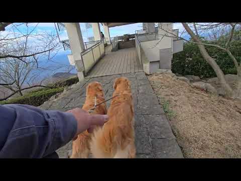 過去にライブを配信した荘内半島先端の紫雲出山の山上にビスとイロハで散歩。香川県三豊市詫間町 サムネイル