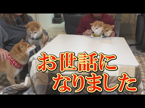 みなさまへの感謝でいっぱいです。ありがとうございました。 サムネイル