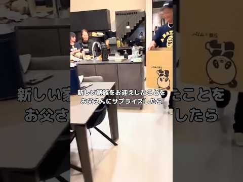 実家の愛犬が虹の橋を渡ってから新しい犬をお迎えするのに反対してたお父さんにサプライズ 保護犬 サプライズ shorts