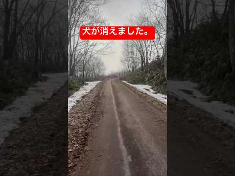 2回脱走…最後が予想外すぎた サムネイル