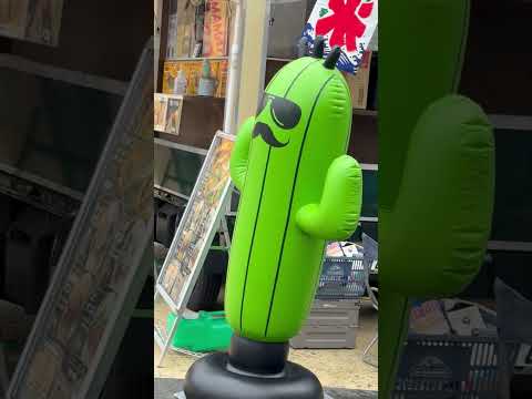 shorts タコス屋さんのキッチンカーにサボテン🌵くん🤭　　浜松市動物園にて　2026年4月5日 サムネイル