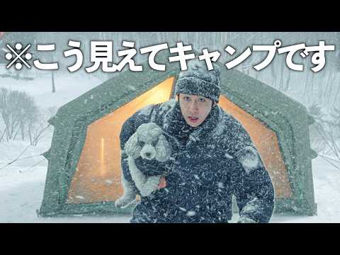 🐶【−8℃】愛犬と吹雪の雪山でキャンプ。外は極寒でもテント内は天国でした。 サムネイル