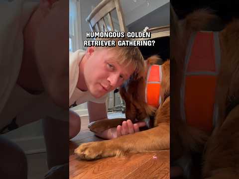 Clifford made me ask 🤷‍♂️ サムネイル