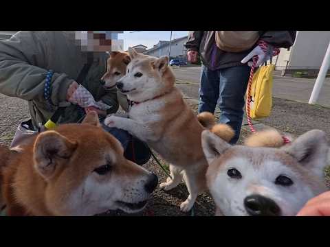 2026年6月4日(木) 食欲たくさんで大変よろしい！グイグイ迫る朝のパン祭り！！ サムネイル