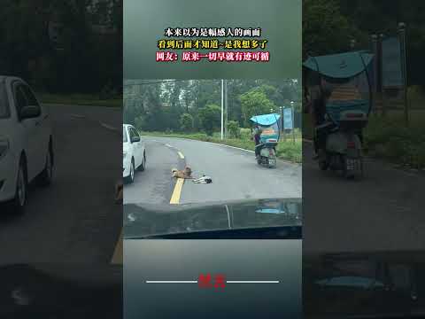 本來以為是幅感人的畫面 看到後面才知道~是我想太多了 意外 狗狗  萬萬沒想到 amazing dog shorts サムネイル