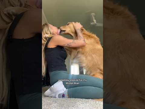 coming home to my golden retriever🥵 goldenretreiver dog ind… サムネイル