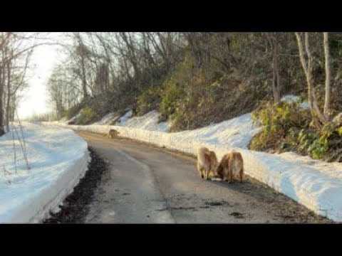Live配信中にライトが… サムネイル