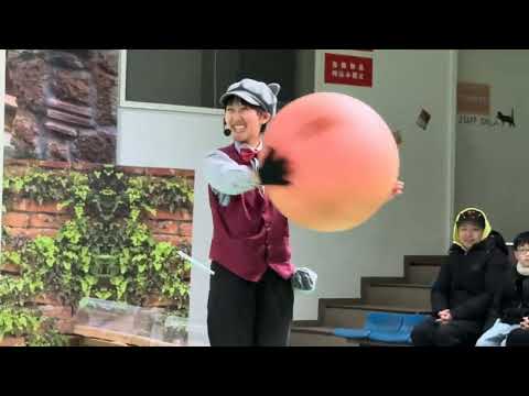 なかなか見れない猫によるショー ザ・キャッツ　那須どうぶつ王国にて　2026年1月30日 サムネイル