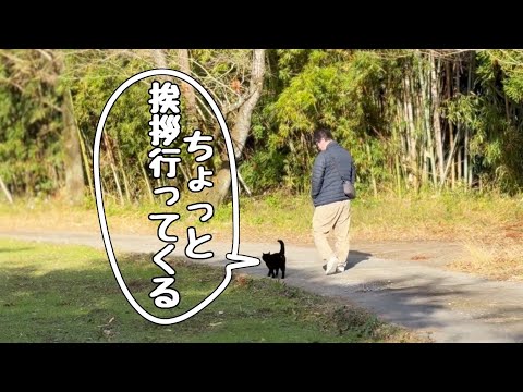 年末のご挨拶に行く猫とお散歩イヤイヤ期の柴犬 Momo’s “I Don’t Wanna Walk” Pose サムネイル