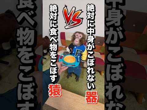 絶対に食べ物をこぼす猿🆚中身がこぼれない皿 サムネイル