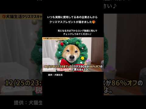 お家のワンちゃん猫ちゃんのクリスマスプレゼントに♪ #柴犬 サムネイル