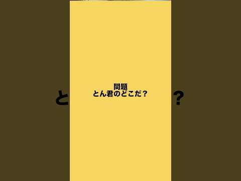 できるだけ正確に答えてみてね！　柴犬　柴犬とん サムネイル