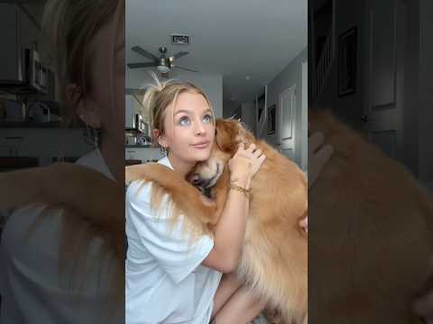 coming home to my golden retriever🥵 goldenretreiver dog ind… サムネイル