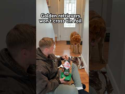 I can’t believe this is actually true 🤯 サムネイル