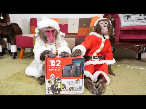 クリスマスに「Nintendo Switch2」をもらったお猿さん。使いこなせるかな？ サムネイル