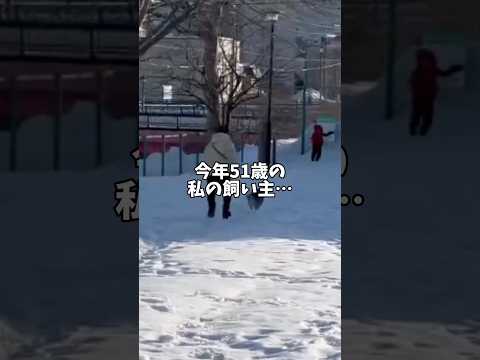 飼い主の老化が見てられない！そこで柴犬は… サムネイル