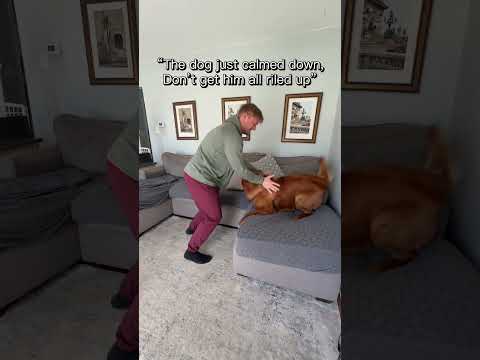 Who is having more fun? サムネイル