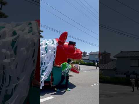 shorts 酒田大獅子桜🌸　獅子パックン　酒田まつり サムネイル