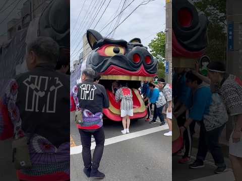 shorts 獅子パックン　松　酒田まつり　2026年5月20日