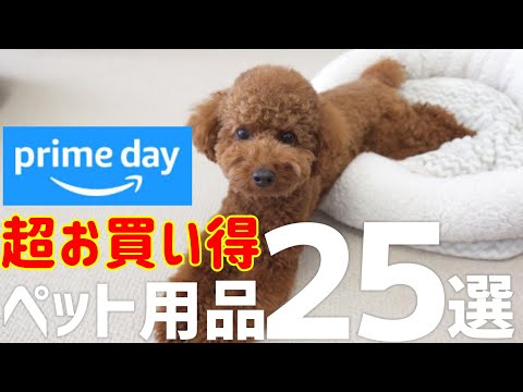 【Amazonプライムデー】爆売れ中のおすすめペット用品25選！ サムネイル