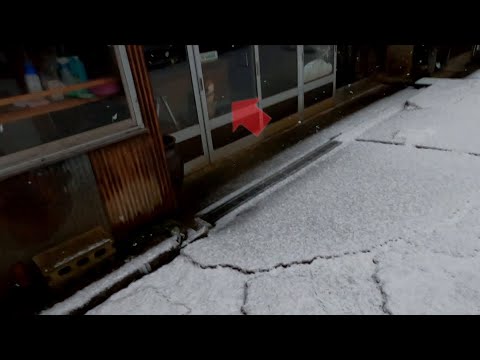 雪の日は勢いよく飛び出していきます サムネイル