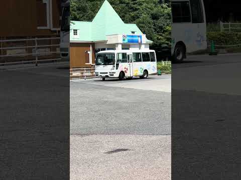 shorts ワンニャンバス🚌　那須どうぶつ王国　IMG 6856 サムネイル