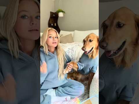 dog-tor coby to rescue🛟goldenpup puppy goldenpupppy dogbree… サムネイル