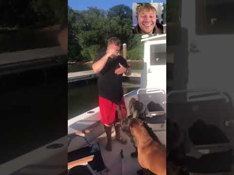 Reacting to the most viral dog videos of all time サムネイル