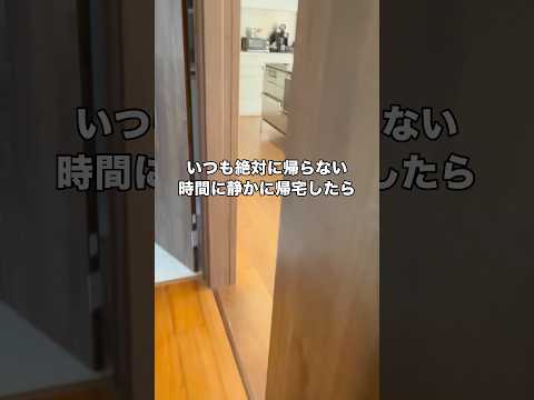いつも絶対帰らない時間に静かに帰宅したらこうなった フレンチブルドッグ フレブル ハニーパイド shorts サムネイル