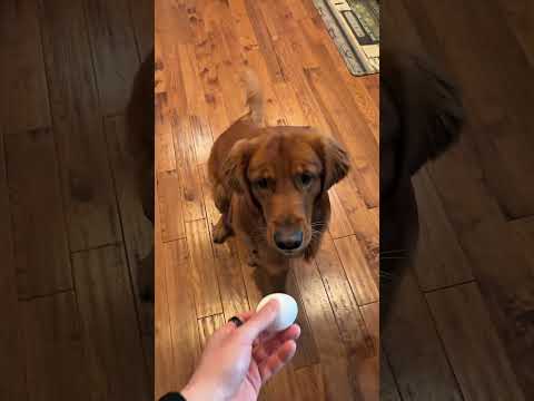 The internet lies!! サムネイル