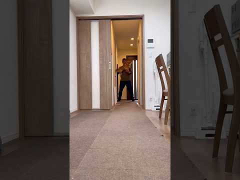 柴犬とん君と流行りの音源で踊ってみた！　柴犬　柴犬とん サムネイル