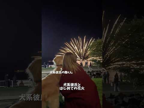 北海道洞爺湖で初めての花火🎇 ゴールデンレトリバー