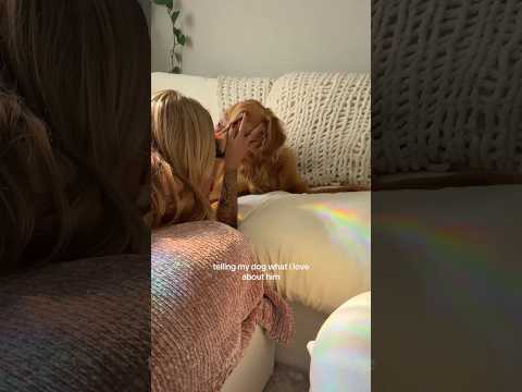 coming home to my golden retriever🥵goldenretreivers dog pup… サムネイル