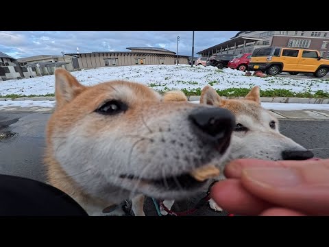 2026年1月27日(火) 圧強めのドアップオヤツ会 サムネイル