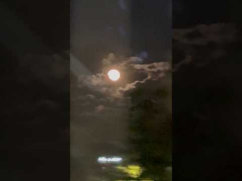 shorts 本日の月🌕ピンクムーン　首都高速にて　2026年4月2日