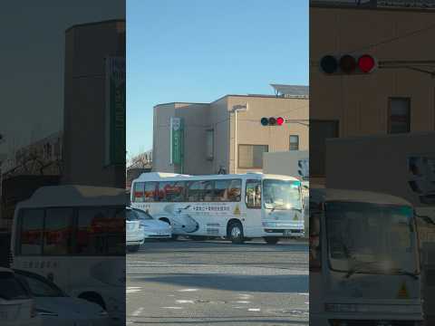 shorts 朝の交差点　千葉市　2026年1月14日 サムネイル