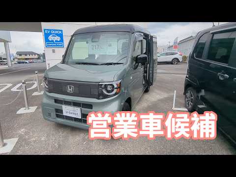 栃木県の営業車候補バンバン見学。ゴールデンレトリバーティト