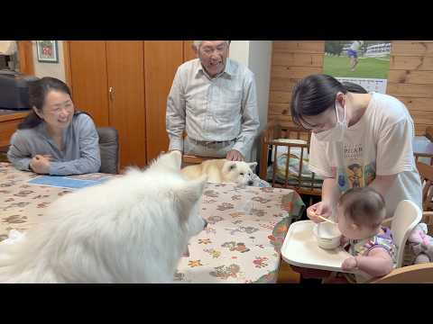 初めて離乳食を食べる赤ちゃんを家族みんなで見守った日 サムネイル