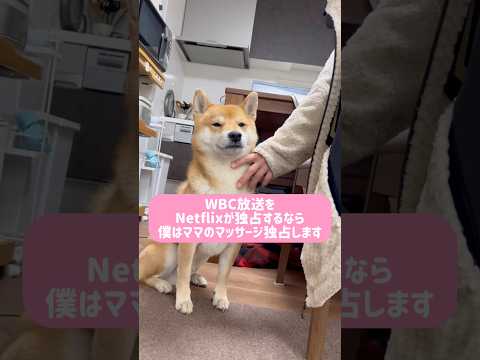 ふっふっふ。いいだろぉ😆 サムネイル