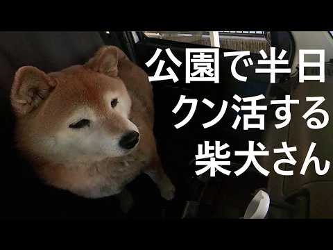 【1096】過去映像：隣町の公園まで遠征してお散歩 サムネイル