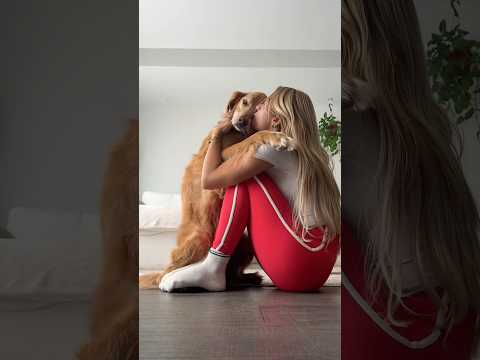 dog-tor coby to rescue🛟goldenpup puppy goldenpupppy dogbree… サムネイル