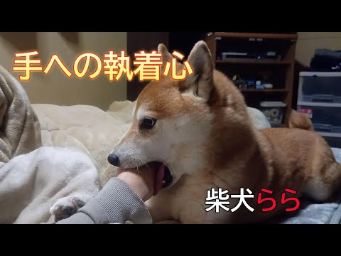 手への執着心 サムネイル