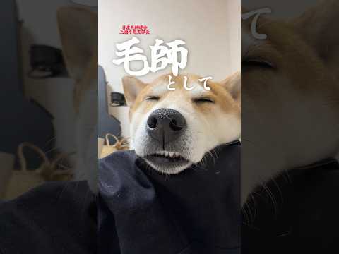 柴犬が導入した最新システム サムネイル