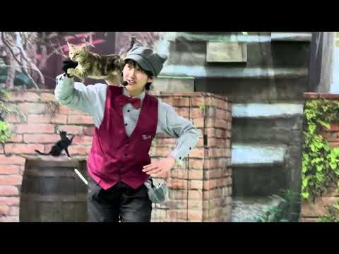 エースチャイ！！なかなか見れない猫によるショー ザ・キャッツ　那須どうぶつ王国にて　2025年1月12日 サムネイル