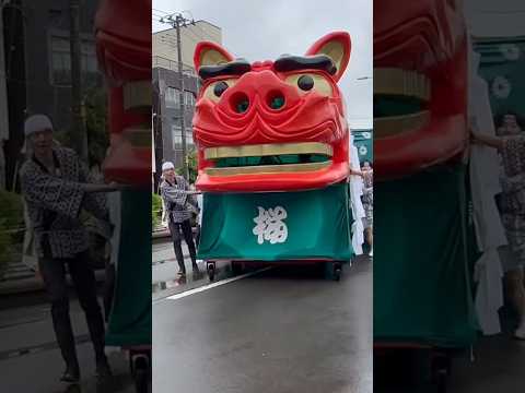 shorts 酒田大獅子　桜🌸　獅子パックン　酒田まつり サムネイル