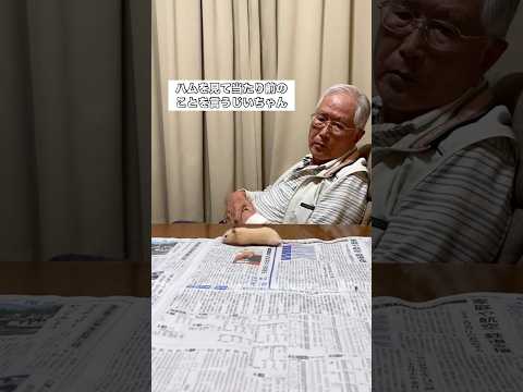 強気なじいちゃんが懸命に歩くハムスターを見て言い放った一言 ハムスター ハムスターのいる生活 おじいちゃん shorts サムネイル